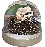 Boa Constrictor Snake Photo Snow Globe Waterball - Advanta Group®
