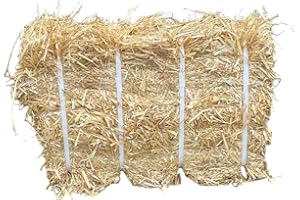 Fearns Farm Compressed & Banded Straw Bale - 11.5kg Dust Extracted Straw - Suitable for Horse & Small Animal Bedding