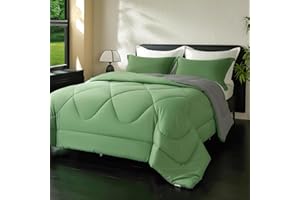 beeweed Piumino Letto Matrimoniale 4 Stagioni 220x240, Reversibile Piumone Autunnale Invernale 220x240cm - Coperta Trapunta 240x220 di Microfibra Sintetico 300 GSM, OEKO-TEX, Con 2 federa(40X80)