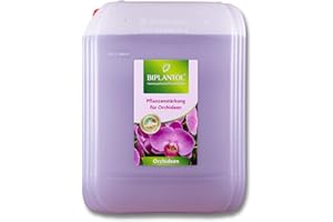 BIPLANTOL® Orchideen - 10L Nachfüllkanister | natürliche Orchideen Pflege für Blühfreudigkeit & Vitalität | Orchideen Spray, anwendungsfertige Sprühlösung ohne Kalkrückstände