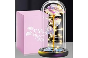 FUNINGEEK Rose Eternelle sous Cloche, Rose Dôme en Verre Fleur Artificielle, Rose Éternelle avec Lumière LED, Cadeau pour la Fête des Mères Saint-Valentin Anniversaire Mariage Noël