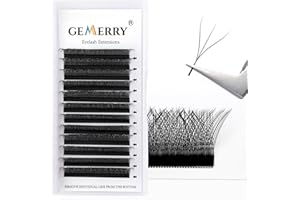 Extension Ciglia 3D 0,07mm Curvatura D 10mm Premade Fan Ciglia W Forma Volume Russo Professional Naturali Individuali Gemerry Ciglia Finte(3d-0.07-d curl-10mm)