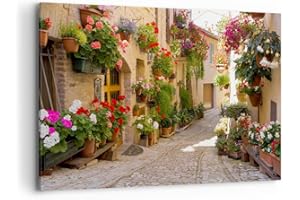 ARTTOR Cuadros Decoracion Salon flor calle casa Lienzos decorativos 120x80cm Cuadro Sobre Lienzo Moderno Dormitorio Cocina Cuadros Pared Imágenes Wall Art Prints Decor Canvas Grande XXL AA120x80-3586