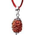 REBUY 3 Mukhi Rudraksha Three Faced Rudraksh Pendant Natural Quality Bead Original, Certified Rudraksha for Men and Women, Color Brown, Origin Indian, 20 MM Approx, Rudraksha
