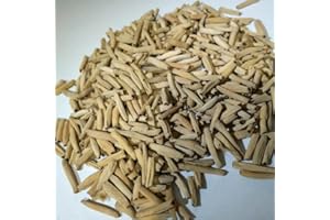 PinkdoseÂ 100 GRAINES MÃlanger Couleur Desert Rose Graines Adenium Obesum Graines Jardin Maison Succulentes