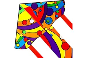 Touch the sky Aquiloni Aquilone pour Enfants Facile à Faire Voler, cerf-Volant Triangulaire Artistique avec Queue Flottante