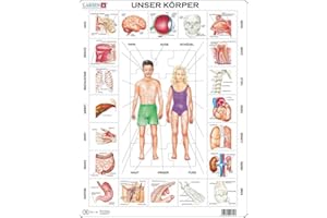 Larsen OB1 Rahmenpuzzle "Unser Körper" 35 Teile