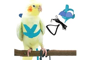 DNOIFNE Pet Parrot Bird Harnais et Laisse pour Chien - Design d'entraînement réglable - Anti-Bite - Corde en Nylon avec Adorable Wing pour Parrots - Convient pour Alexandrine, Scarlet, Keck