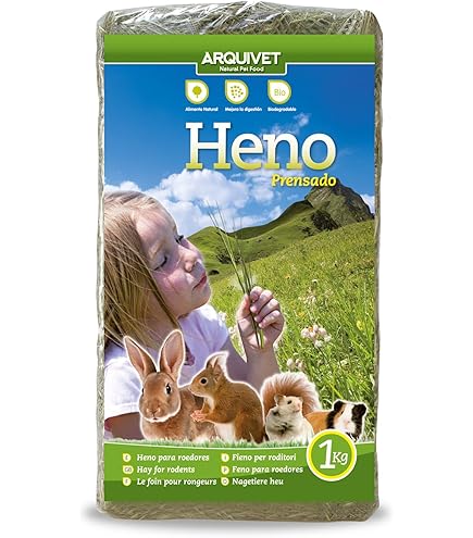 Hoe kan ik een cavia kopen? | Een cavia uitzoeken | Cavia's | Guide