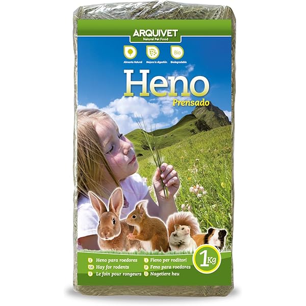 Lot De 3 Pierres à Ronger Minérales Pour Petits Animaux – Hamster, Lapin, Cochon D'Inde, Chinchilla – Naturelles Et Saines