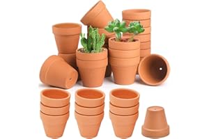 HDKAJL 30 Mini Macetas para Flores de Terracota, con Necesidad de Drenaje, para Casas de Cactus y Suculentes Enteras (4x4.8 cm)