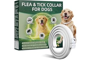 Collar Antiparasitario Perros, Protección Efectiva Collares Antiparasitarios para Perros, 100% Natural, Impermeable, Adjustable, Collar Antipulgas Perros para Pequeños, Medianos y Grandes,65 cm