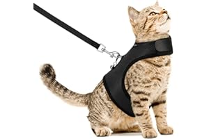 VavoPaw Harnais et Laisse pour Chat, Harnais Anti-évasion Réglable avec Clochette de Sécurité, Harnais en Maille Respirante Rembourrée pour Petit Animal, Gilet pour Chaton Chiot Cochon d'Inde, M, Noir