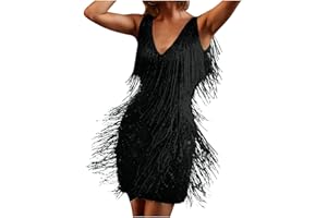 GENERIC Women's Tassel Flapper Dress Vintage Dance Dress Fancy Sleeveless Fringe Ballroom Dancewear Cocktail for Latin Tango Samba Cha Cha Party Sparkly Suspended Cocktail Party