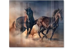 DEQORI Plaque de protection en verre Une pièce 60 x 52 cm Motif étalons nobles Plaque de protection pour plaque de cuisson Couverture universelle Plaque en verre et planche à découper