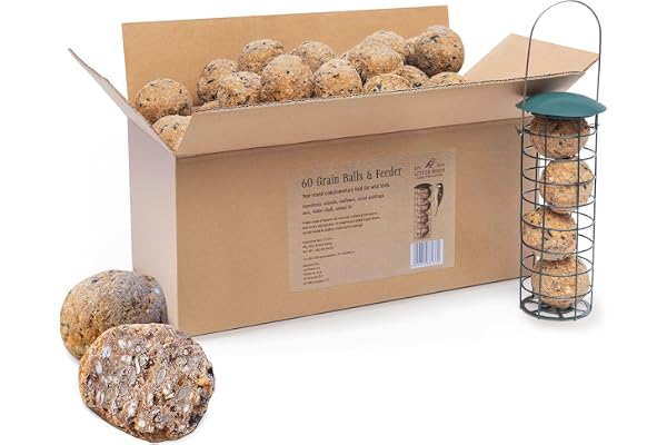Care4Nature 60 Boules de Graisse Oiseaux du Jardin avec Mangeoire - Boule de Graisse Oiseaux Exterieur - Ingrédients Naturels et Haute Valeur Nutritionnelle - À Utiliser Toute l'année
