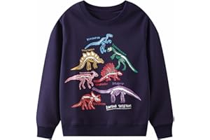 Gumyoss Sweatshirt Garcon Pull Enfant Garcon Dinosaure Manches Longues Coton Sweats pour Enfants 2-7 Ans