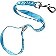 GROOM PROFESSIONAL Ajax Dog Grooming Loop Leash with Metal Slider - Strong Nylon Material - Comfortable & Secure - Paw Print Design - 42cm, Cyan Blue