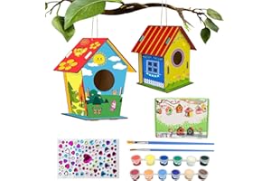 DAGORD 2 pièces Maison à Oiseaux en Bois Kit Nichoir Oiseaux à Construire Maison Oiseau a Peindre Rnfant Cabane à Oiseaux Maison d'Oiseau Bricolage Kit pour Enfants de 4 à 7 ans Garçons et Filles