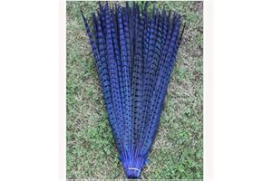 BULZEU 10Pcs Pheasant Tail Feathers for Craft or Decoration