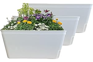 Olly & Rose Lazy Planters - Self Watering Planters - Pack of 3 - Matt White Self Watering Plant Pots (White)