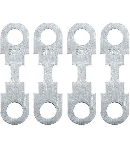 10 Fusibles Auto AGU En Verre - 100A - 12-24V - 10x38mm - Pour Porte-fusible 4/6/8 AWG - Sécurité électrique Voiture