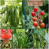 6 Paket Tohum No1 Cherry &Ccedil;eri Domates Tohumu Salatalık Tohumu Biber Tohumları Sebze Tohumları