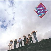 Street Survivors [VINYL]: Amazon.co.uk: CDs & Vinyl