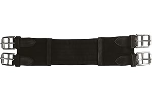 Symantec Norton Luxe Kurzer gepolsterter