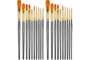 HTHL 20 PCS Paint Brushes Set - Nylon Hair Brush for Acrylic, Oil, Watercolor, Gouache & Face Painting - Professionals & Beginners (Black)
