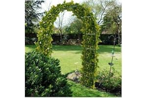 ADEPTNA Large 2.4m Heavy Duty Metal Garden Arch Strong Rose Climbing Plants Support Archway Garden Decoration