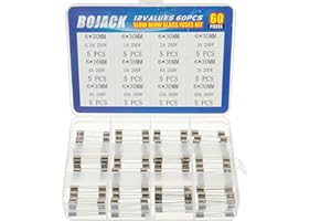 BOJACK 12 wartości 60 szt. zestaw bezpieczników z powolnym dmuchaniem 6 x 30 mm 250 V T 0,5 A 1 A 2 A 3A 4A 5A 6A 7A 8A 10A 15A 20 A opakowanie w przezroczystym plastikowym pudełku