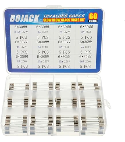 HUAREW Kit 60 Fusibles Verre 6x30mm 12 Valeurs - Fusion Lente 250V
