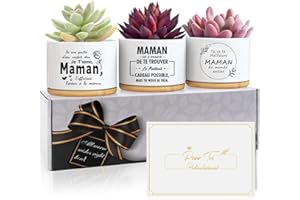 COSTRADE Cadeau Anniversaire pour Maman,Idee Cadeau Fete des Meres,Cadeau Noel Maman,Cadeau Future Belle Jeune Maman,Cadeaux Fete des Mere,Cadeaux Maman,3 Cadeaux de Pots de Fleurs pour Maman