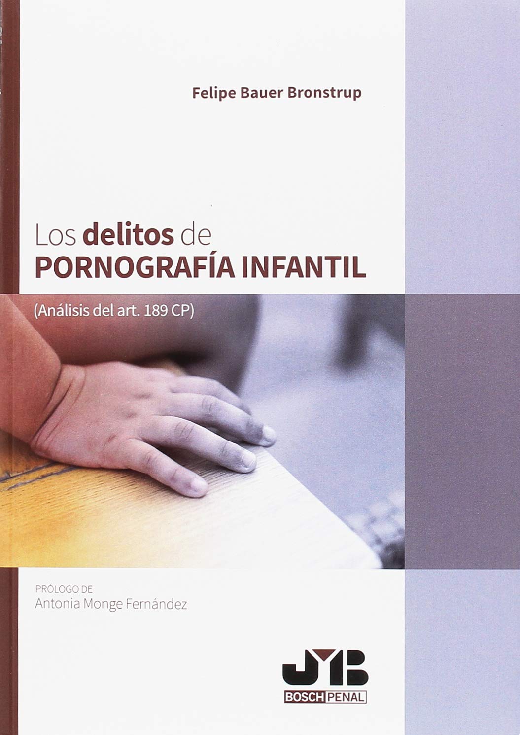 Los delitos de pornografía infantil: Análisis del art. 189 CP