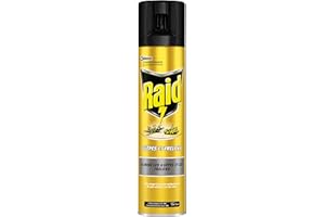 Raid Wasps and Hornets Aerosol for Indoor Use Insecticide, 300 ml