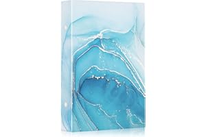 Lanpn Fotoalbum 10x15 cm 300 Taschen, Leder Hardcover Fotobuch für 300 Horizontale Bilder Azurblau