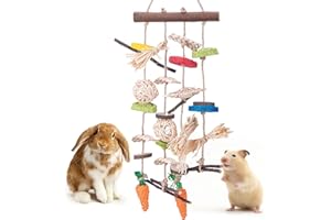 GIONAR Kaninchen Spielzeug Natürliches Applewood Bunny Kauspielzeug, Kaninchenkäfig Hängespielzeug mit Grasball Karottenspielzeug für Kaninchen, Chinchilla, Meerschweinchen, Hamster, Zähneknirschen