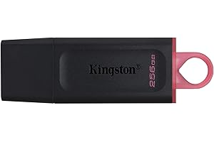 Kingston DataTraveler Exodia DTX/256GB Flash Drive USB 3.2 Gen 1 - with Protective Cap and Keyring in Multiple Colours