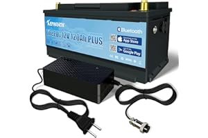 DEESPAEK Batería de Litio de 12V 120Ah con Bluetooth, baterías Recargables de Ciclo Profundo LiFePO4 con protección BMS de 100 A, para Kit de Panel Solar, Marino, Motor de Arrastre, Caravana, RV, Barco