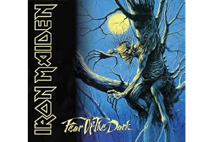 Fear Of The Dark