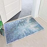 SOSTUDIO rutschfeste Schmutzfangmatte Tür Eingangs Fuß Matte Teppich fußabtreter 40 x 60 cm, Maschinenwaschbarer, Weicher Bar
