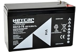 HEYCAR - Batería de Plomo AGM para aplicaciones estacionarias. Batería 12V 7Ah. Capacidad de descarga 108 A 1,92 Kg. 151 x 65 x 94 mm