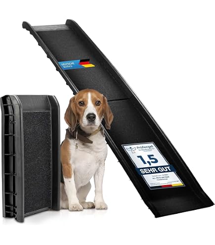 hundebett khlend Orthopdisches Hundebett | Rund & Anpassbar