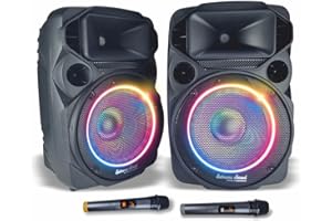 Extreme Sound Coppia Casse Audio Attiva e Passiva DJN 12 con coppia Microfoni Wireless,Bluetooth, 2000W Potenza Musicale - Perfette per Karaoke, Feste ed Eventi - Altoparlanti da 31 Cm, luci led