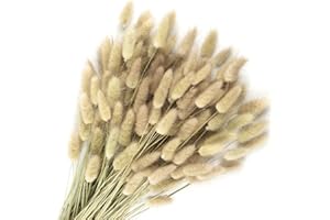 Songjum 120 PCS Dried Bunny Tails Flowers Lagurus Bunny Tails Pampas Grass Decor Natural Dried Pampas Grass Decor for Flower Arrangements Boho Wedding Bouquets Home Decor Garden Decor