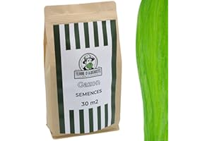 TERRE D'AUGUSTE LA TERRE DU PATRIARCHE DEPUIS 1920 Terre d'Auguste - Semences Gazon 30 M2 - Idéal pour Gazon à Semer, Pelouse à Semer