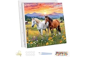 MEIYUDA DIY Paint by Numbers for Adults with Frame Horses, Paint by Numbers Kits Prairie, Paint by Numbers for Adults Arts and Crafts for Beginner Acrylic Pigment Drawing Paintwork Wall Art 30x30cm