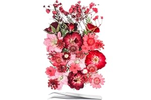 YOOTHBRO 15 Types 37pcs Fleurs Sèches Pressées Rouges pour Modèles en résine, YouthBro Fleurs Naturelles Pressées Vraies pour Art Crafts à Faire soi-même, Fabrication de Bougies, Décoration des Ongles