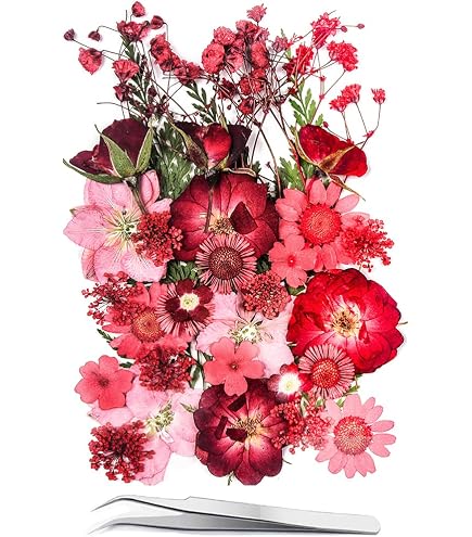 WeddHuis 33 Stück Vraies Fleurs Pressées Séchées, Fleur Sechees Naturel pour Résine pour Bricolage Résine Bijoux Faisant Floraux Nail Art(Bleu